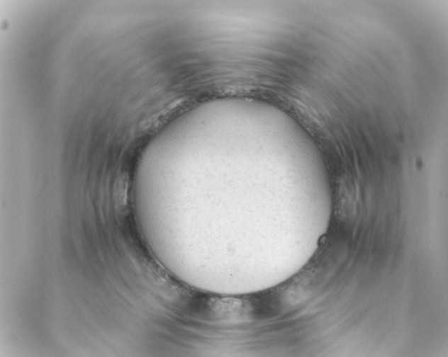 X0000088910230200706291537