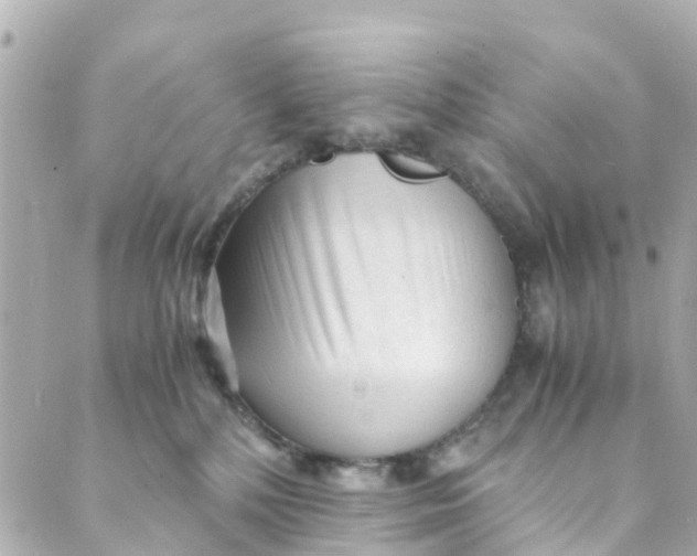 X0000088910232200706291537