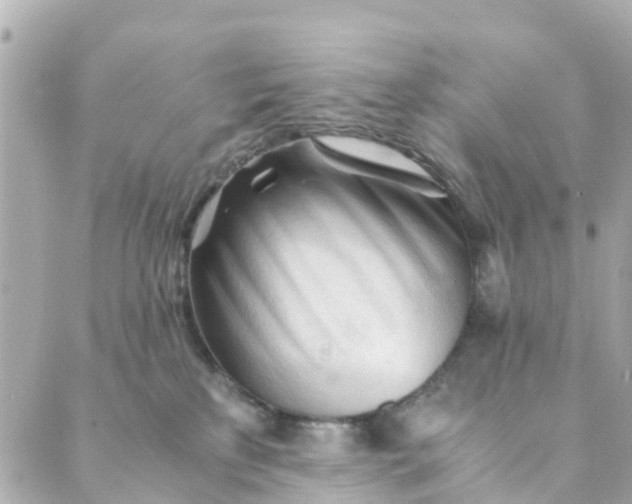 X0000088910233200706291537