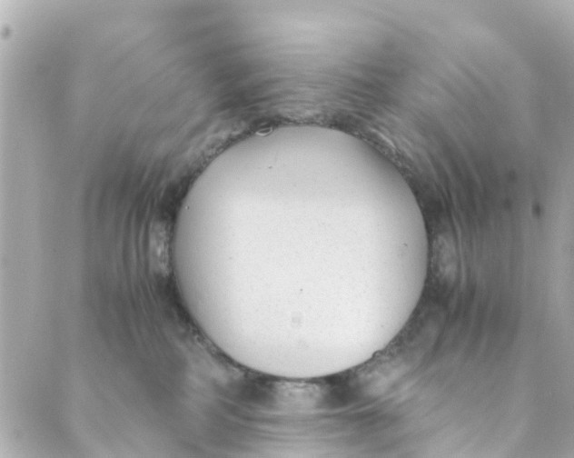 X0000088910234200706291537