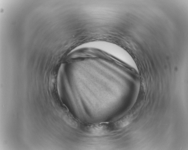 X0000088910235200706291537