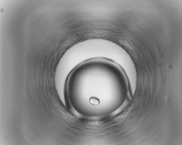 X0000088910237200706291537