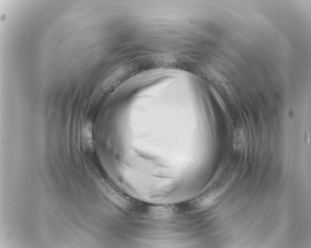 X0000088910238200706291537