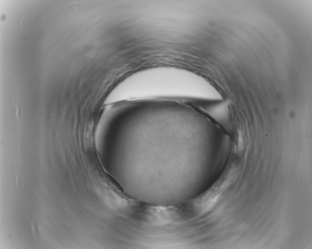 X0000088910239200706291537