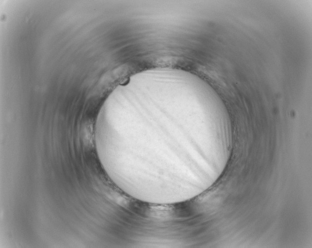 X0000088910240200706291537