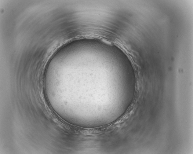 X0000088910241200706291536