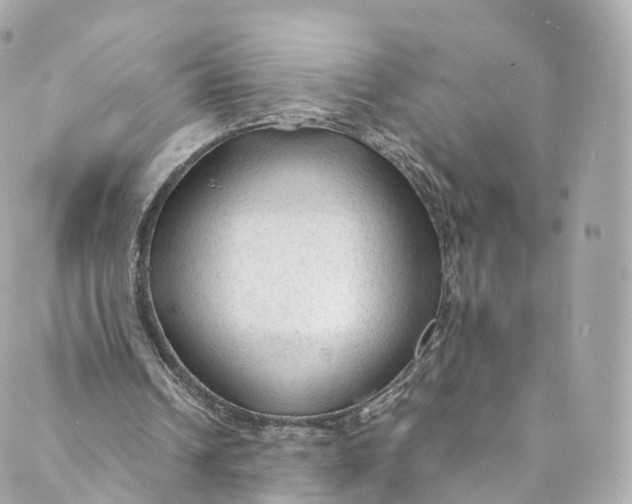 X0000088910242200706291536