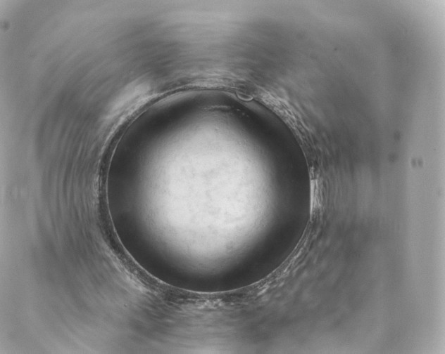 X0000088910243200706291536