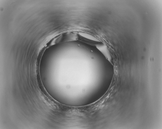 X0000088910244200706291536