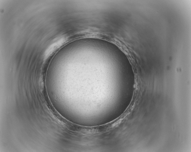 X0000088910245200706291536