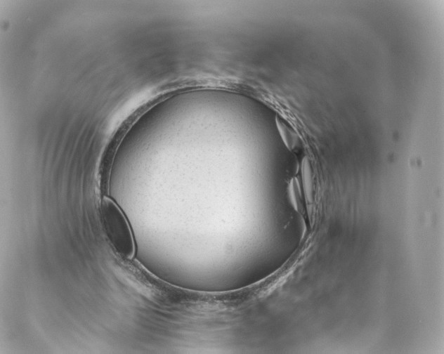 X0000088910246200706291536