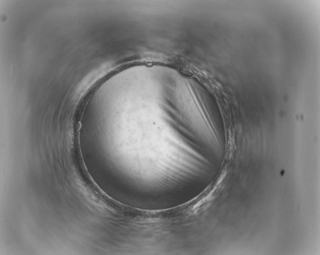 X0000088910247200706291536