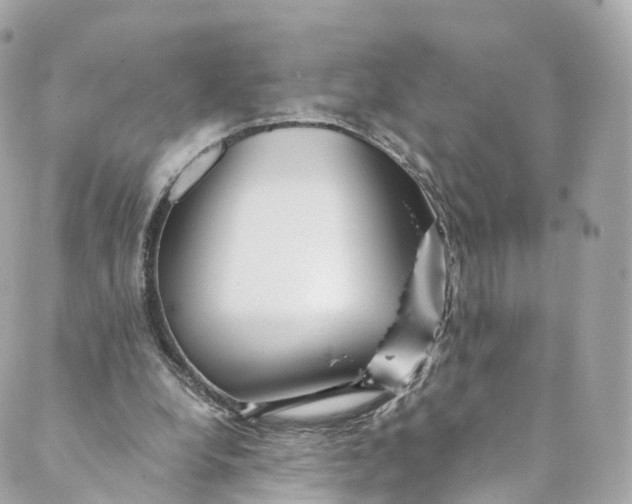 X0000088910248200706291536