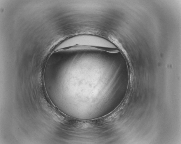 X0000088910249200706291536