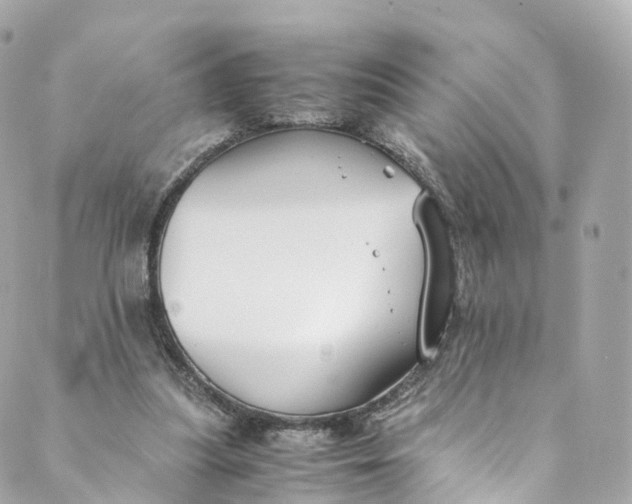 X0000088910251200706291536