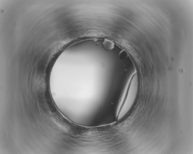 X0000088910252200706291536