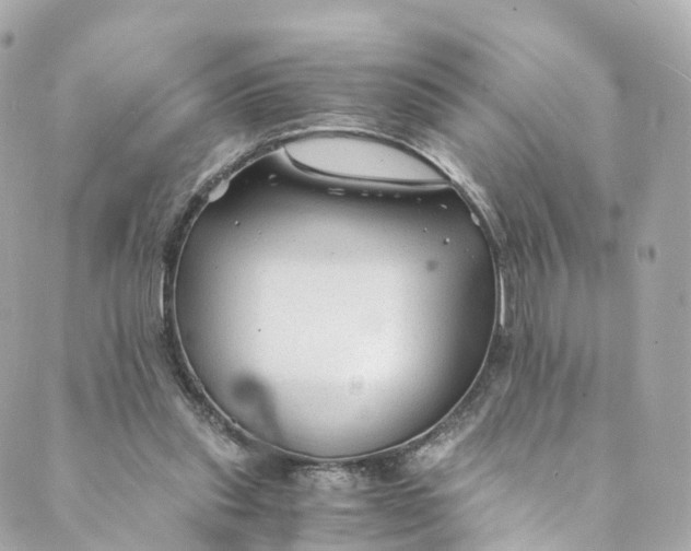 X0000088910253200706291536