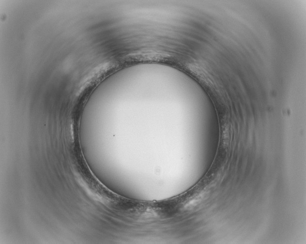 X0000088910254200706291536