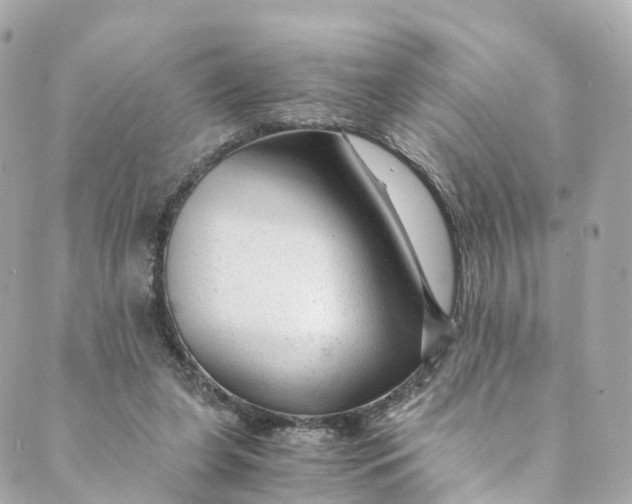 X0000088910255200706291537