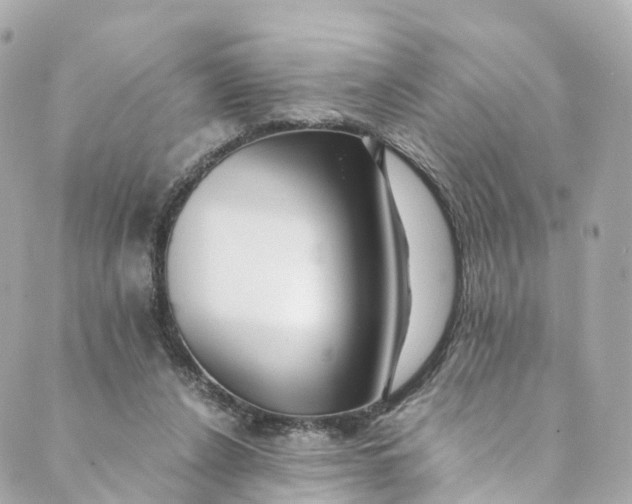 X0000088910256200706291537