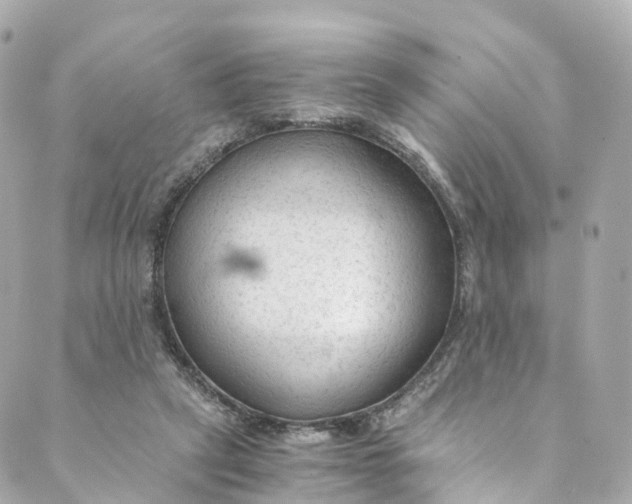 X0000088910257200706291537