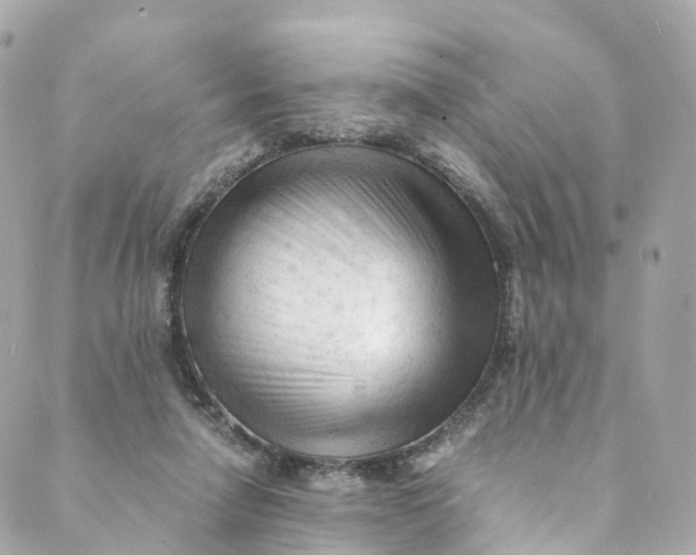 X0000088910258200706291537