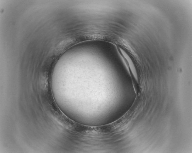 X0000088910259200706291537