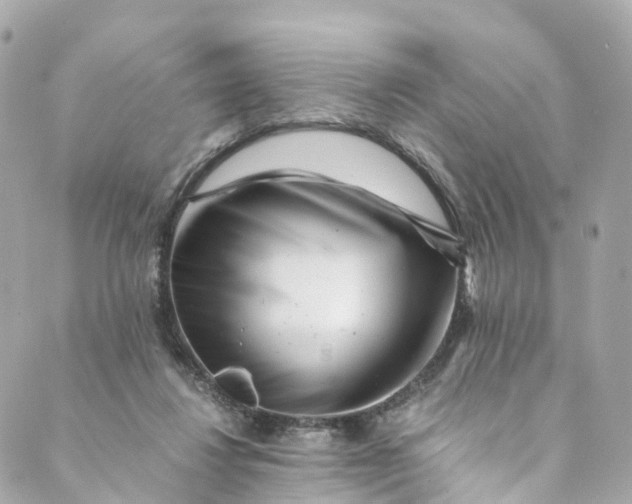 X0000088910260200706291537