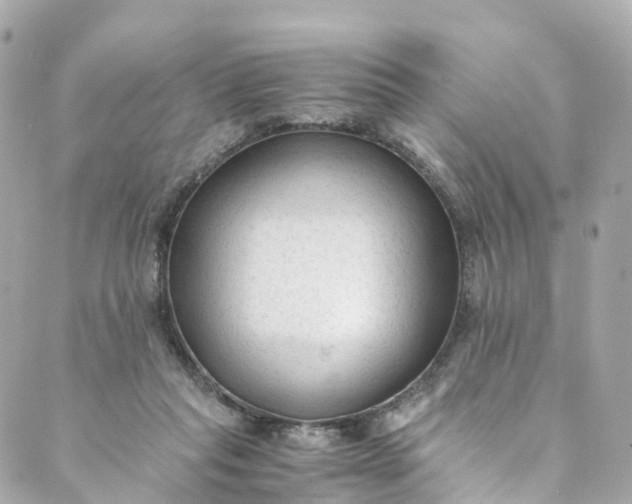 X0000088910261200706291537