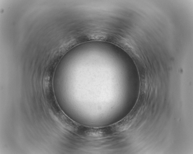 X0000088910263200706291537