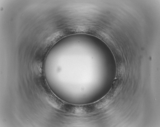 X0000088910264200706291537