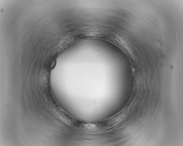 X0000088910265200706291537