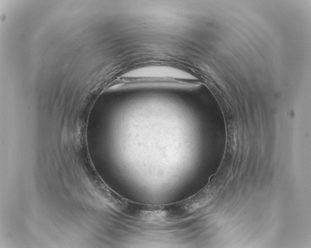 X0000088910266200706291537