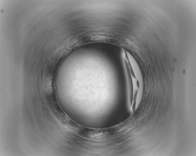 X0000088910267200706291537