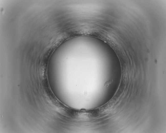 X0000088910268200706291537