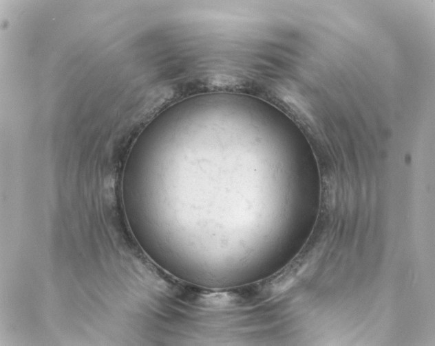 X0000088910269200706291537