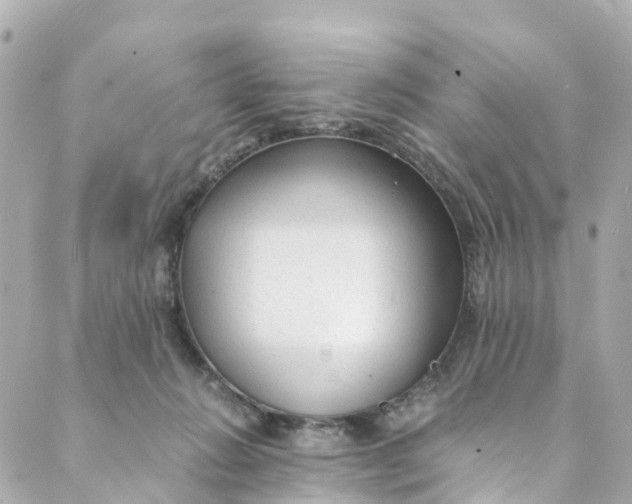 X0000088910270200706291537