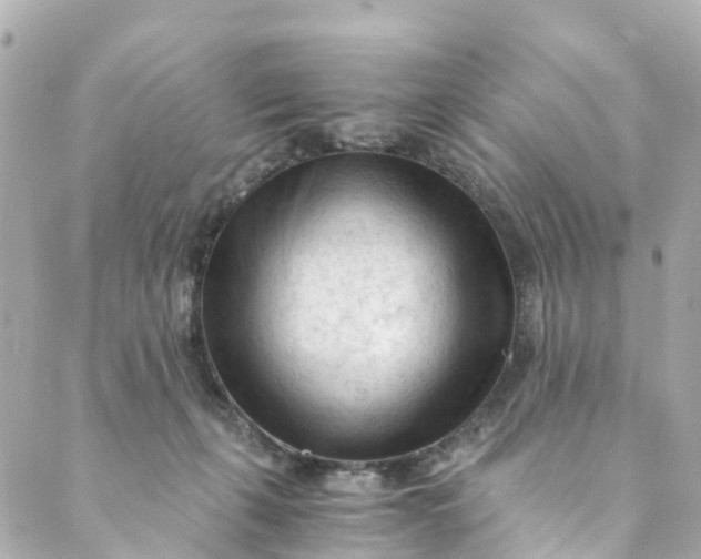 X0000088910271200706291537