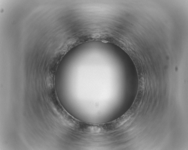 X0000088910272200706291537