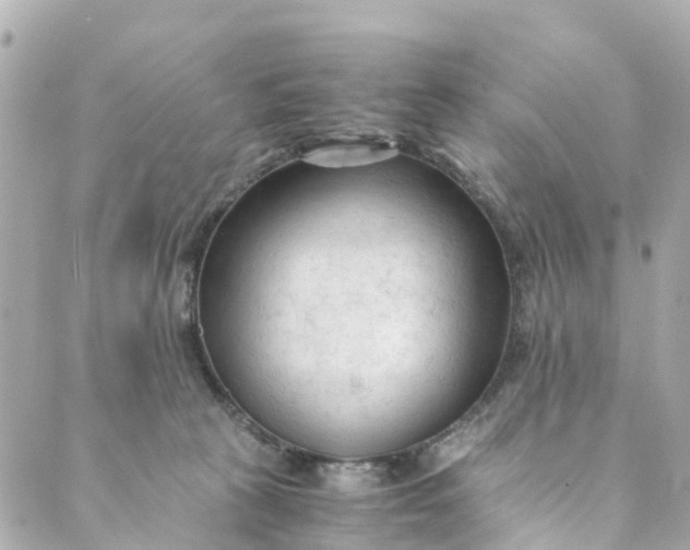 X0000088910273200706291537