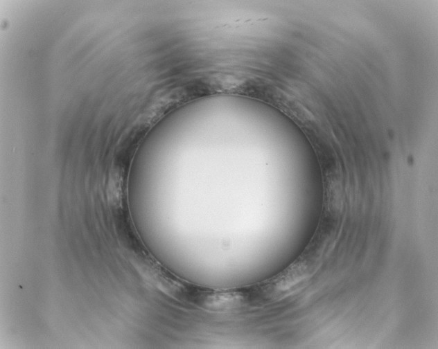 X0000088910274200706291537