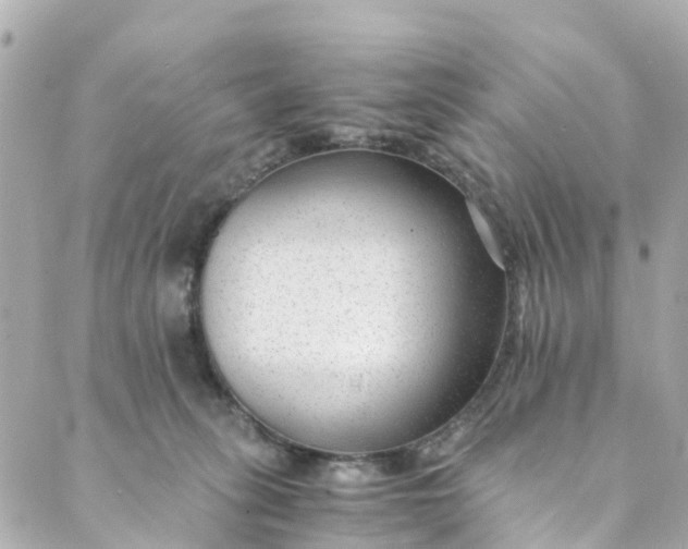 X0000088910275200706291537