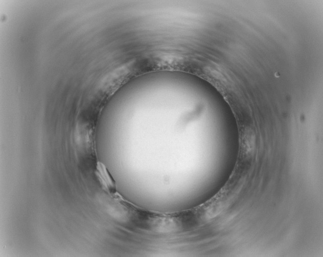 X0000088910276200706291537