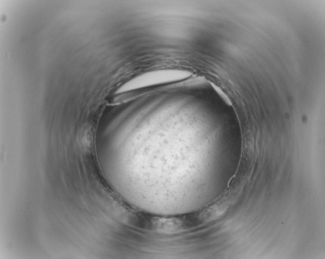 X0000088910277200706291537