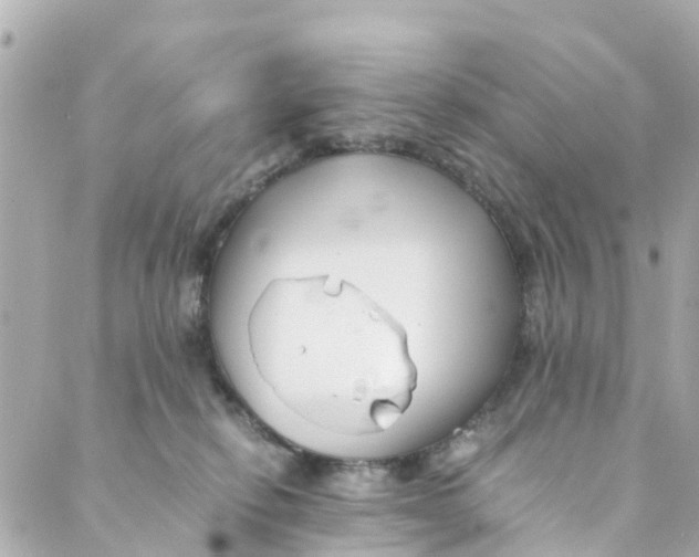 X0000088910278200706291537