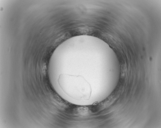 X0000088910279200706291537