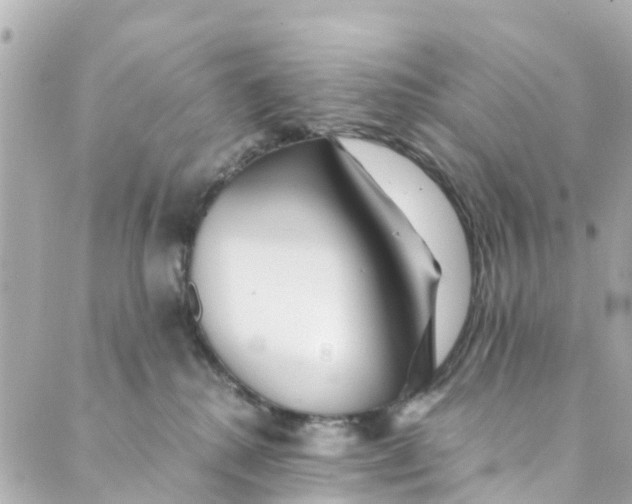 X0000088910280200706291537