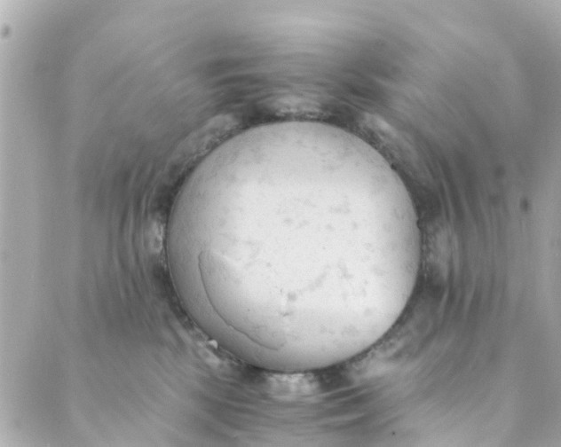 X0000088910281200706291537