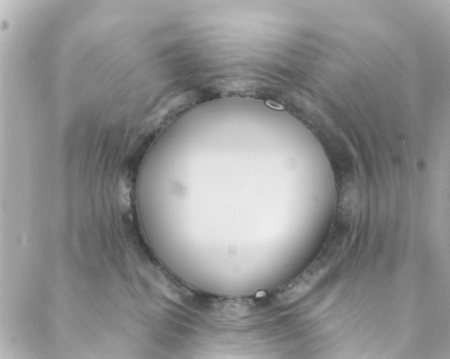 X0000088910282200706291537