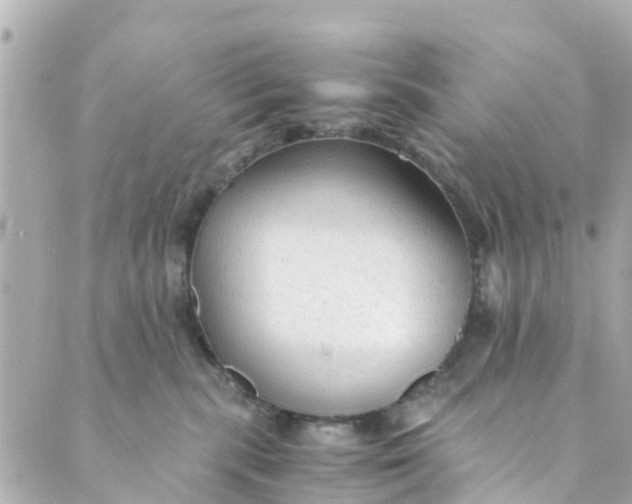 X0000088910283200706291537